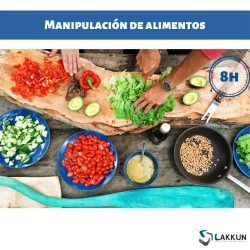 carnet de manipulador de alimentos