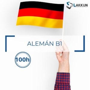 Curso Online Alemán B1