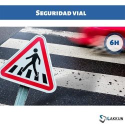 curso seguridad vial