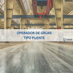 PRL puente grua