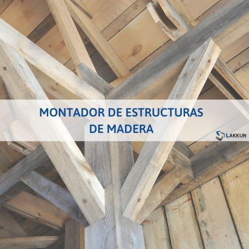 curso tpc estructuras de madera