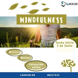 Mindfulness online